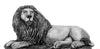 Lion Pride (28mm)