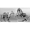 Horse tethered (15mm)