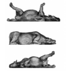 Dead cows (20mm)