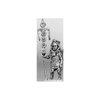 Signifer (18mm)