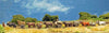 NEW - Ox cart caravan (18mm)