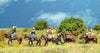Officers wives and baggage (18mm)