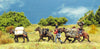 Mule train set 2 (18mm)